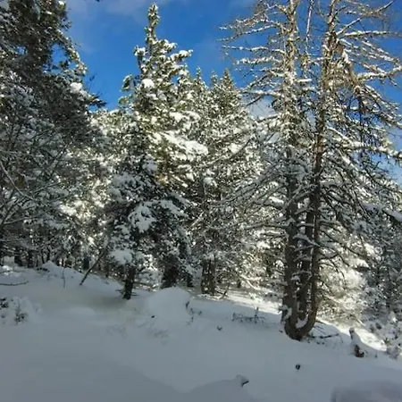 Au Coeur De La Foret Au Calme Et Proche Des Pistes Et Des Commodites * Bolquere Pyrenees 2000
