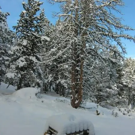 Au Coeur De La Foret Au Calme Et Proche Des Pistes Et Des Commodites