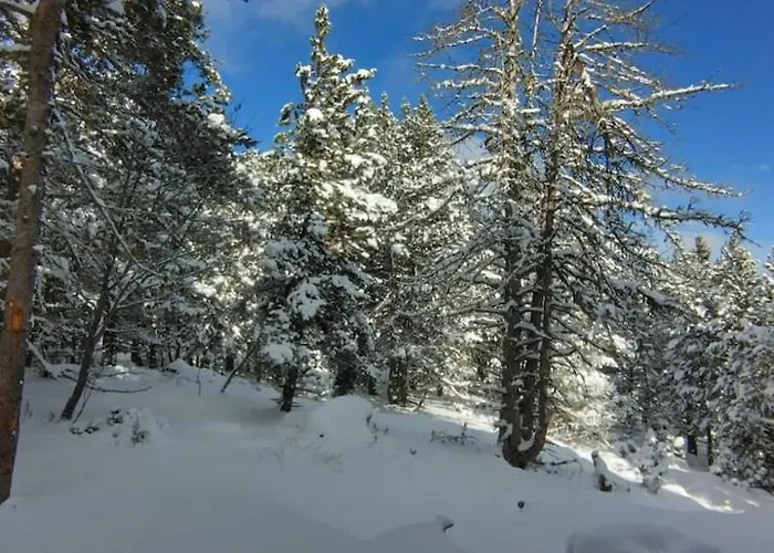 Au Coeur De La Foret Au Calme Et Proche Des Pistes Et Des Commodites * Bolquère