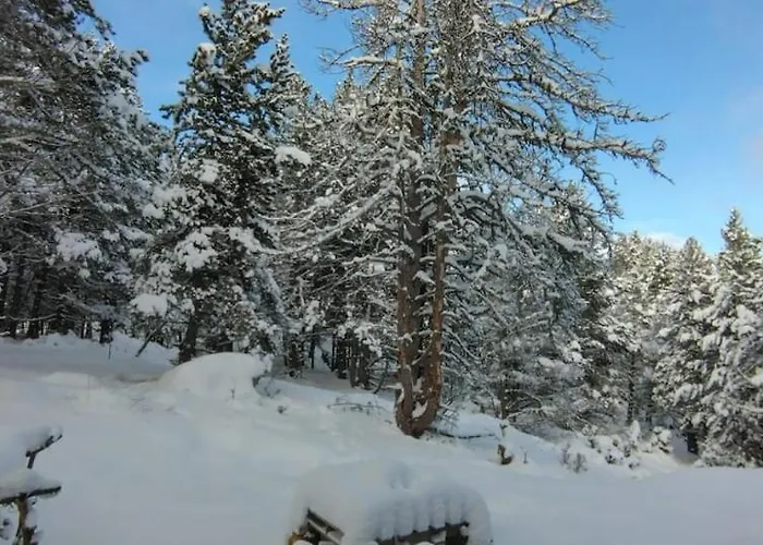 Au Coeur De La Foret Au Calme Et Proche Des Pistes Et Des Commodites